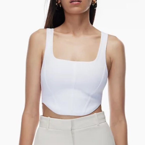 Babaton Aritzia Bustier Seamed Sculpt Knit Top - Picture 2 of 2